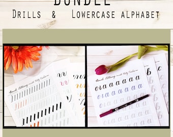 BUNDLE 1: Brush Lettering Lowercase Alphabet & Basic Strokes for Large Brush Pens