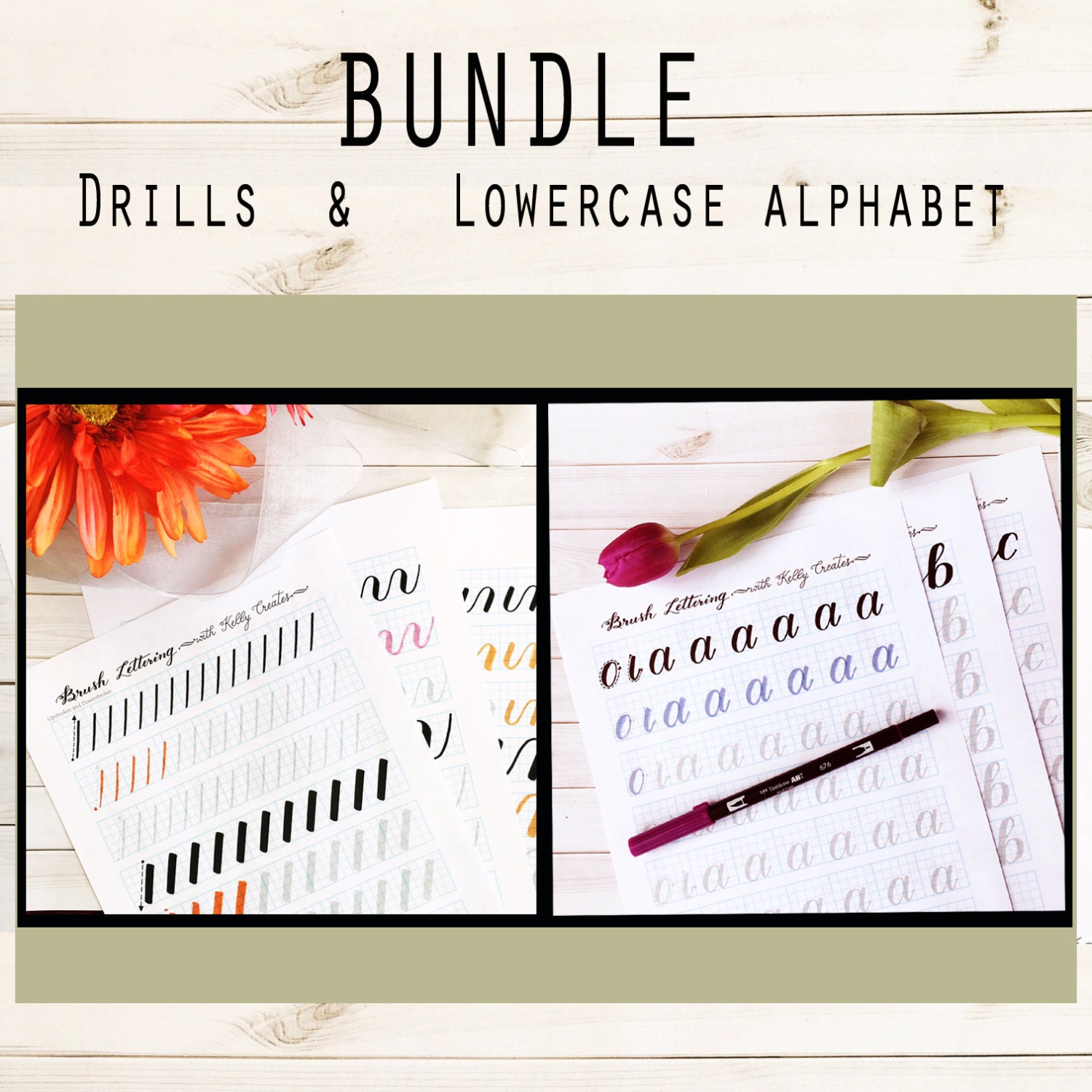BUNDLE 1 Brush Lettering Lowercase Alphabet & Basic Strokes Etsy