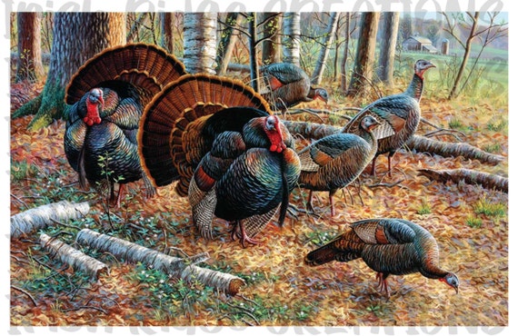 Turkey Thanksgiving Holiday Hunting Gobble Bird Animal Farm - Etsy Turkey Thanksgiving Holiday Hunting Gobble Bird Animal Farm - Etsy