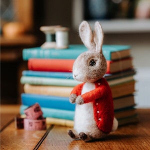 Könnte beinhalten: Ein Filz-Hasenspielzeug, das eine rote Jacke mit weißen Knöpfen trägt. Der Hase sitzt auf einer Holzoberfläche vor einem Stapel bunter Bücher.