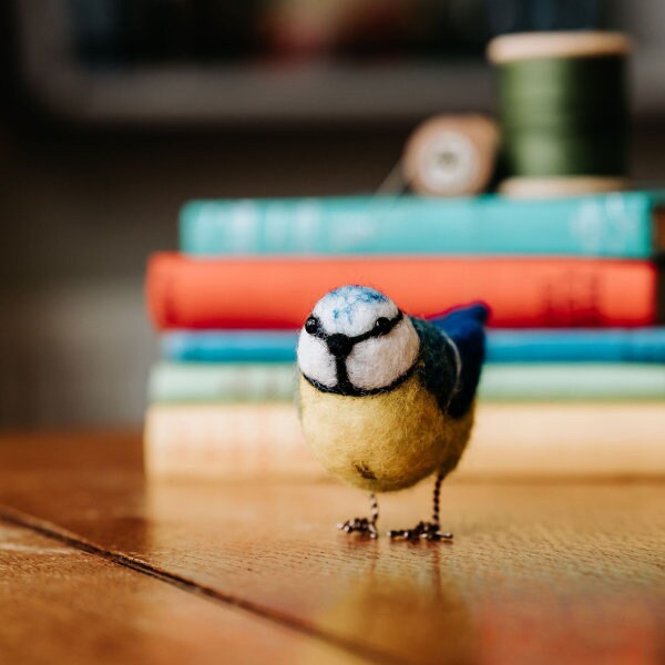 Felt Craft Kit - Birds — ARTISANS & agency