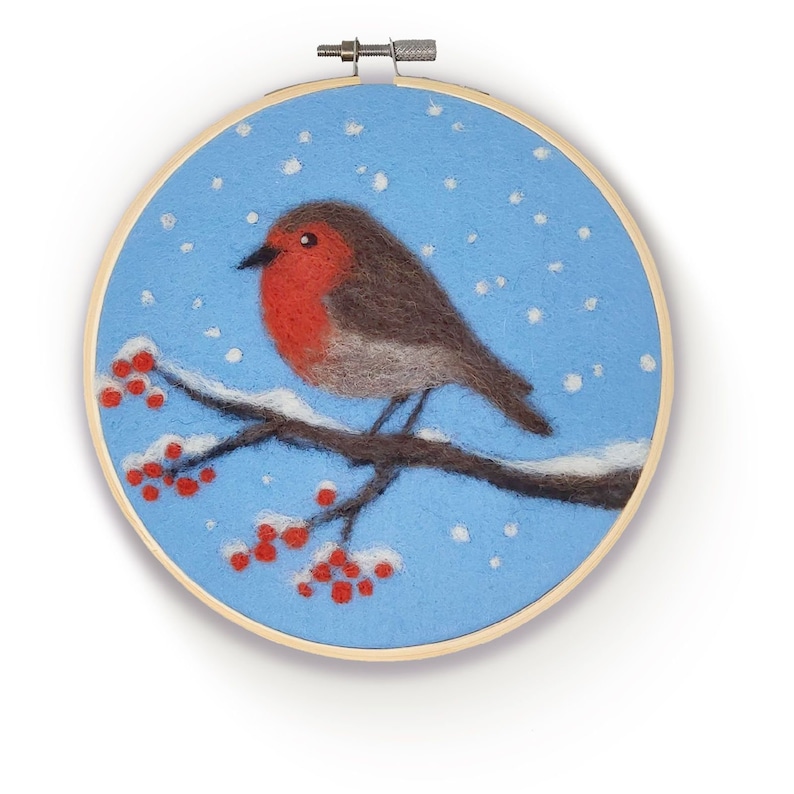 Robin in a Hoop Needle Felting Kit Etsy UK