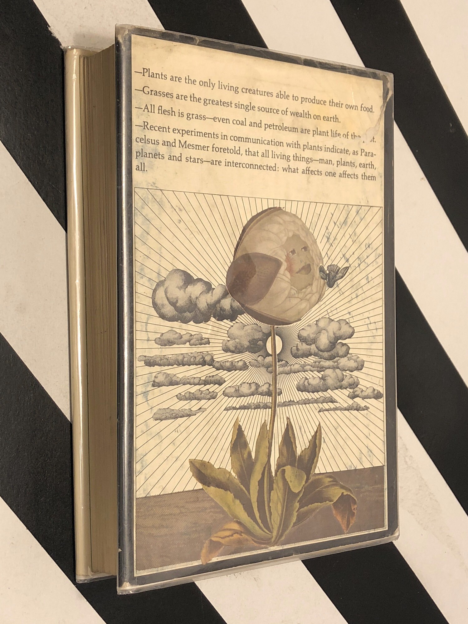 The Secret Life of Plants by Peter Tompkins and