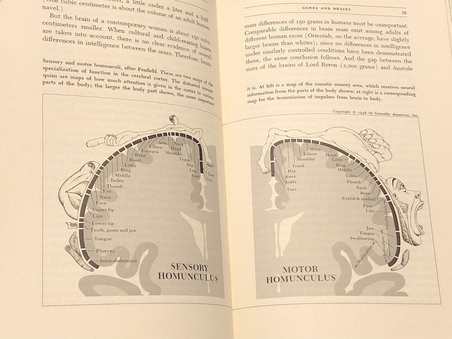 carl sagan contact book pdf carl sagan contact book pdf