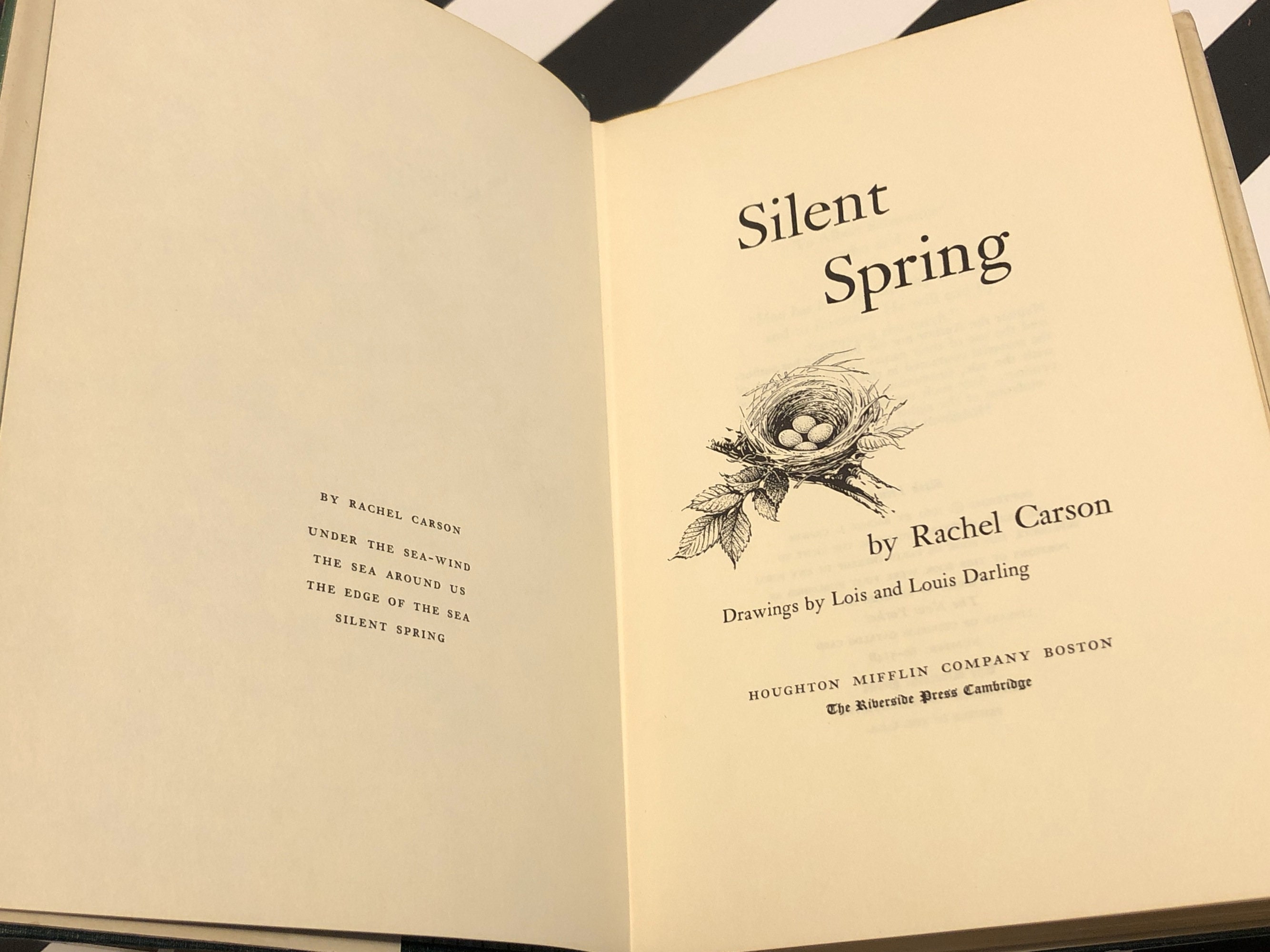 Silent spring promo book