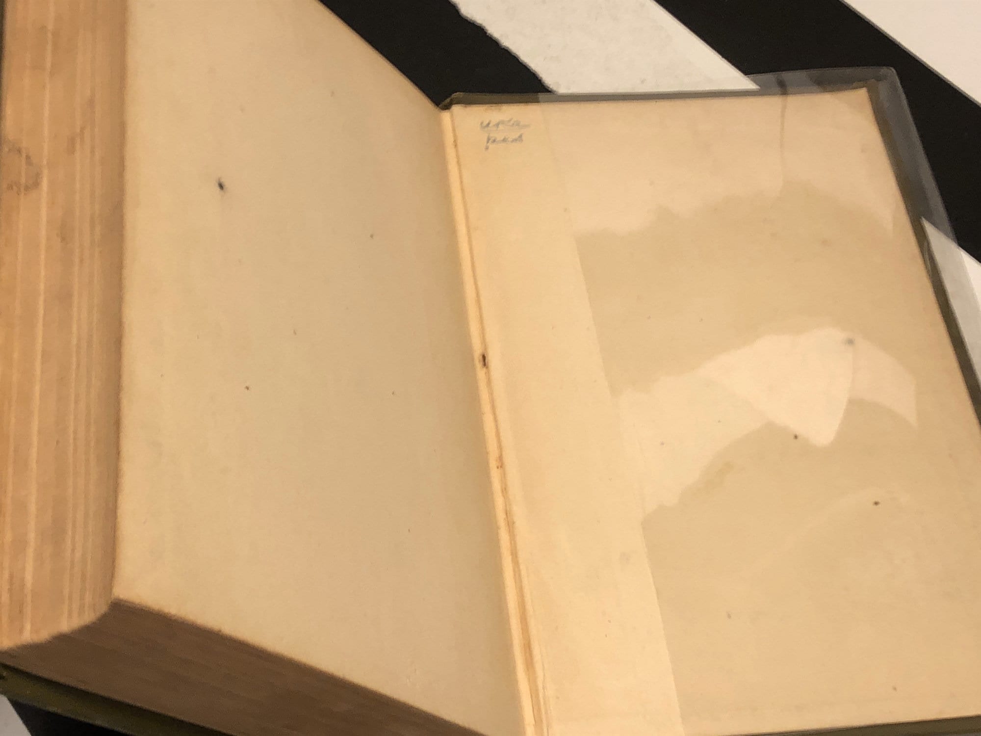 upton-sinclair-the-jungle-1906-first-edition-book