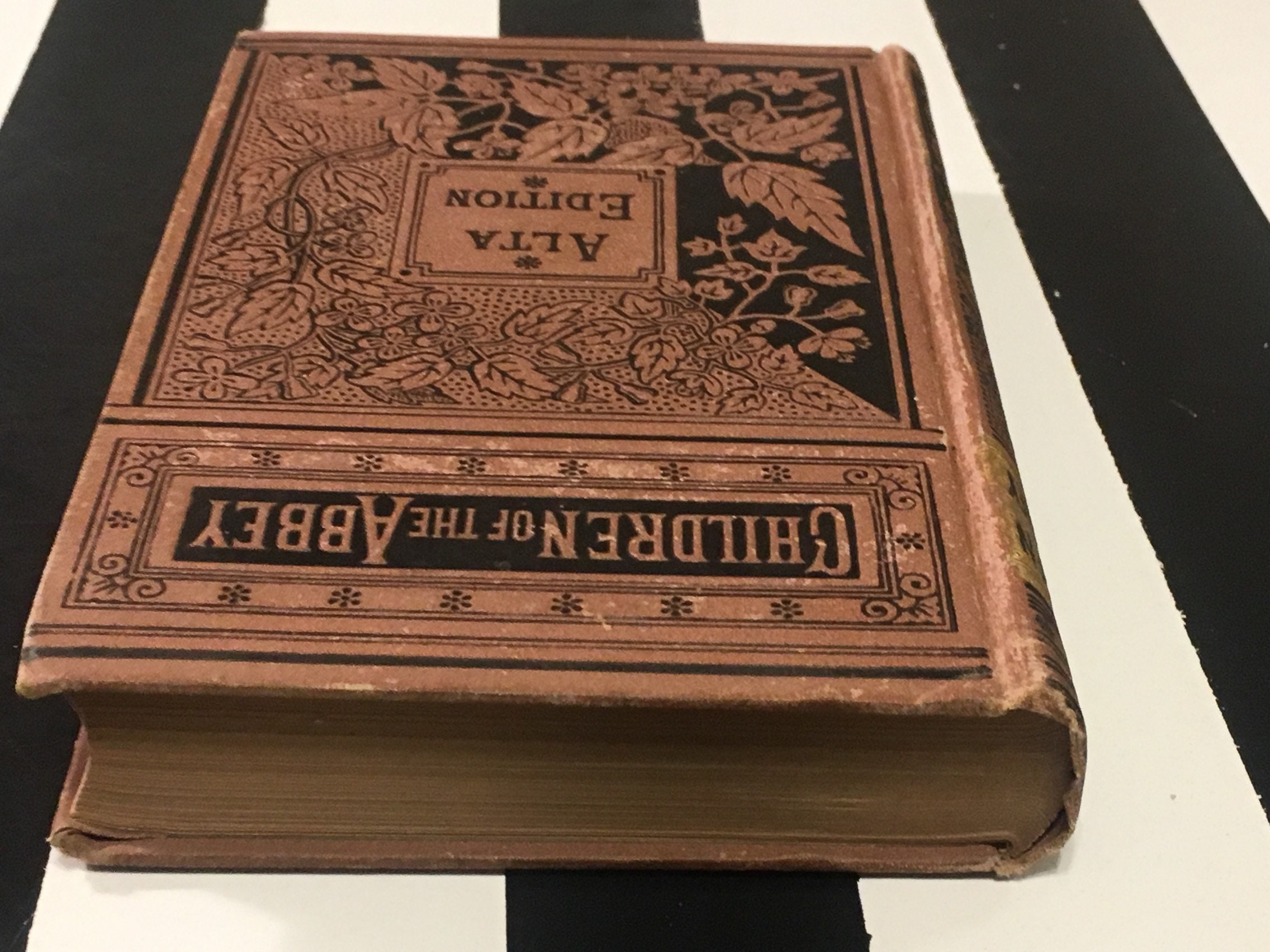 Children of the abbey by roche essay 02 picture