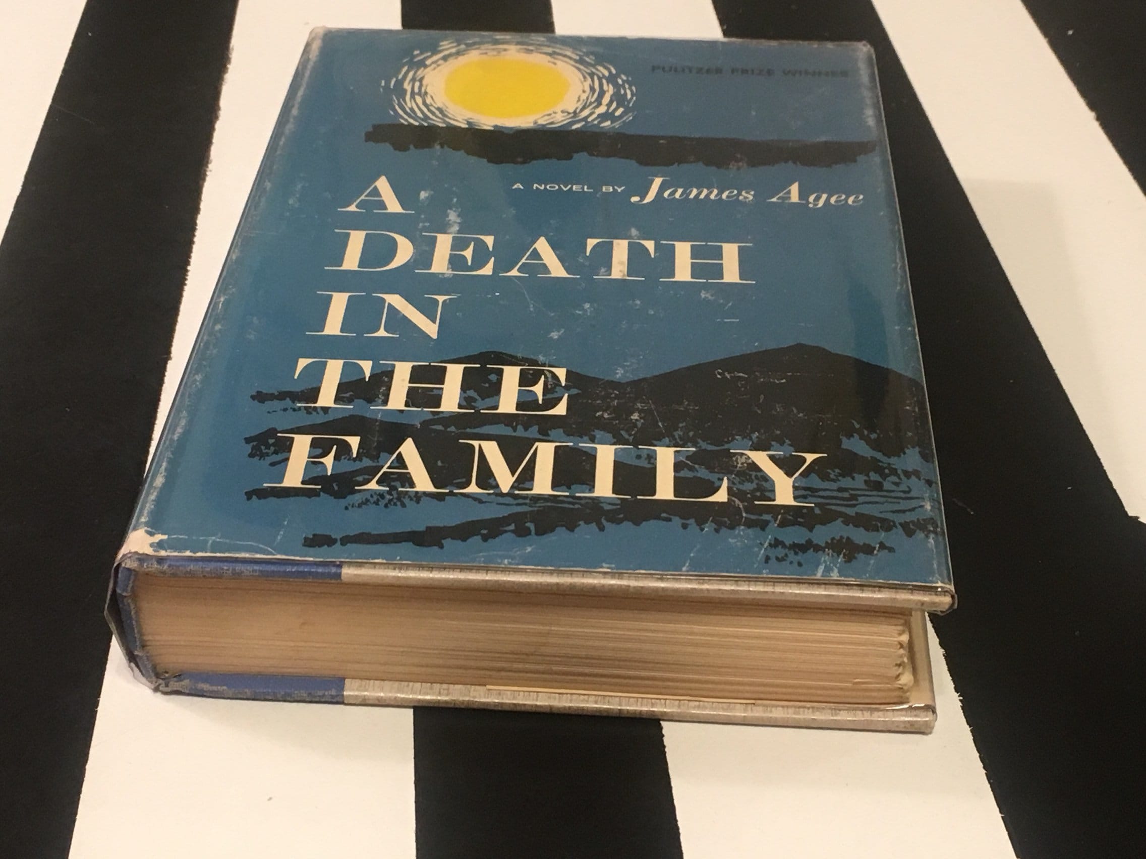 book the family remains book the family remains
