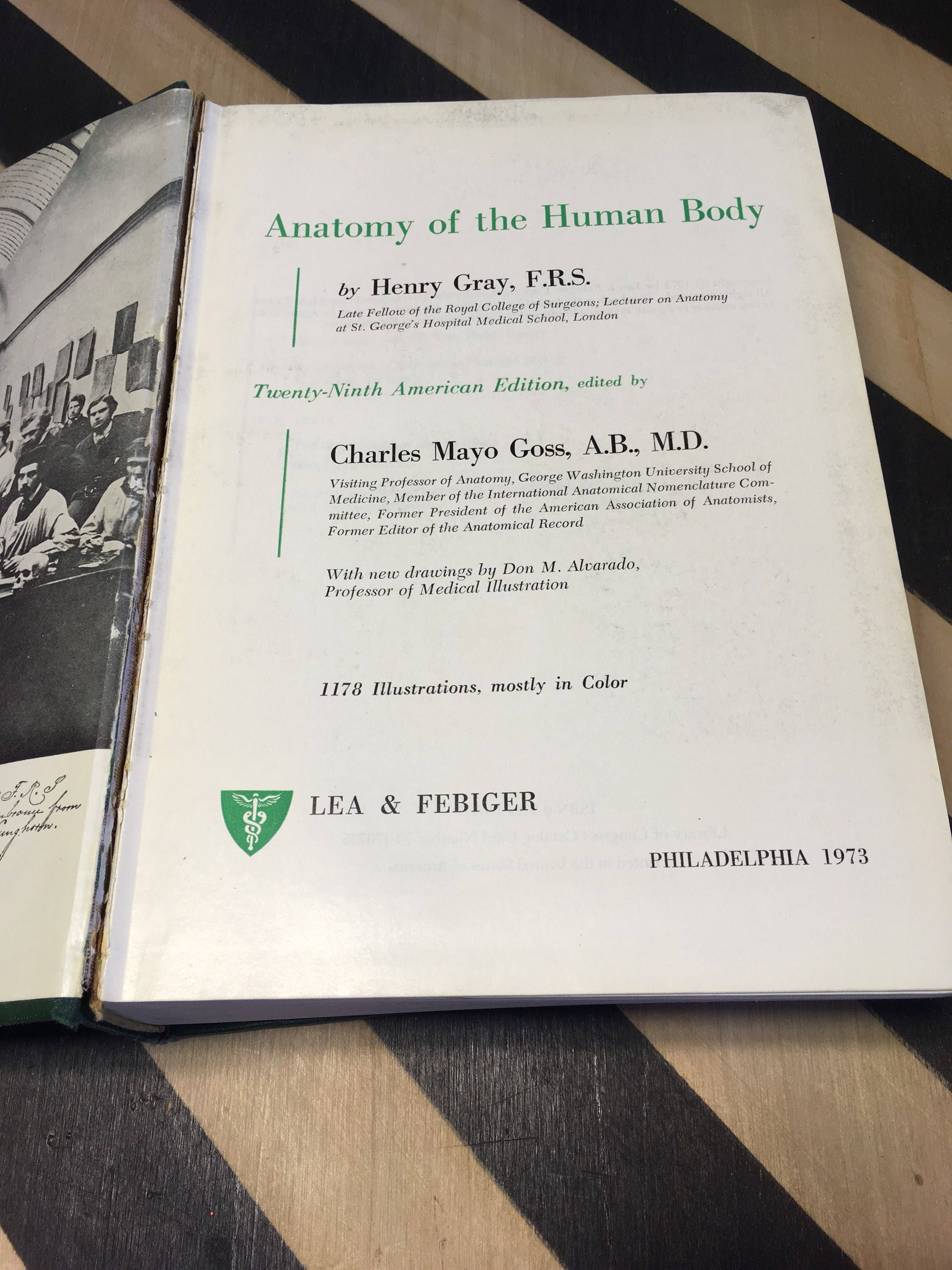 Gray's Anatomy by Henry Gray, F.R.S.; Twenty-Ninth American Edition