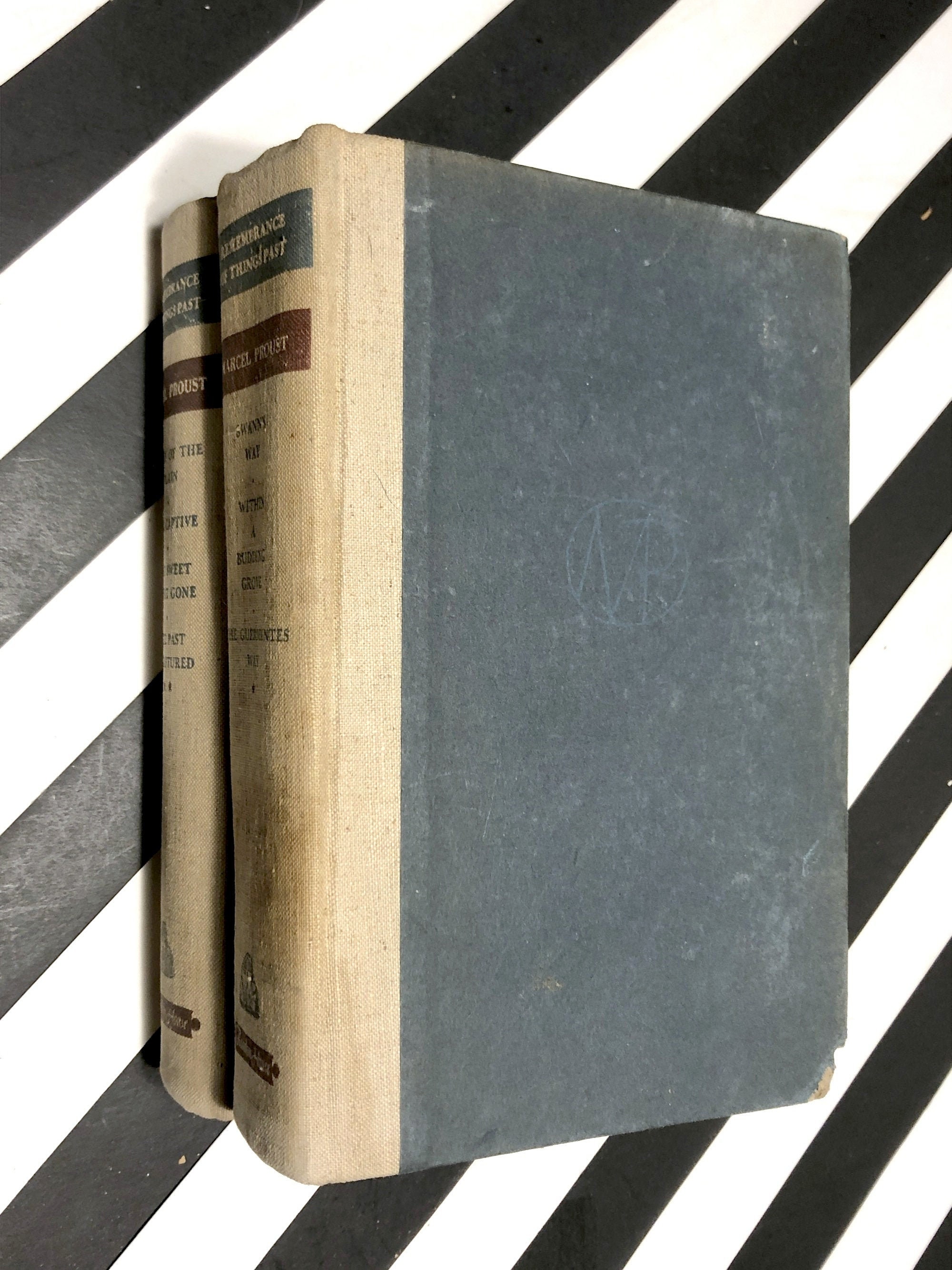 remembrance of things past book remembrance of things past book