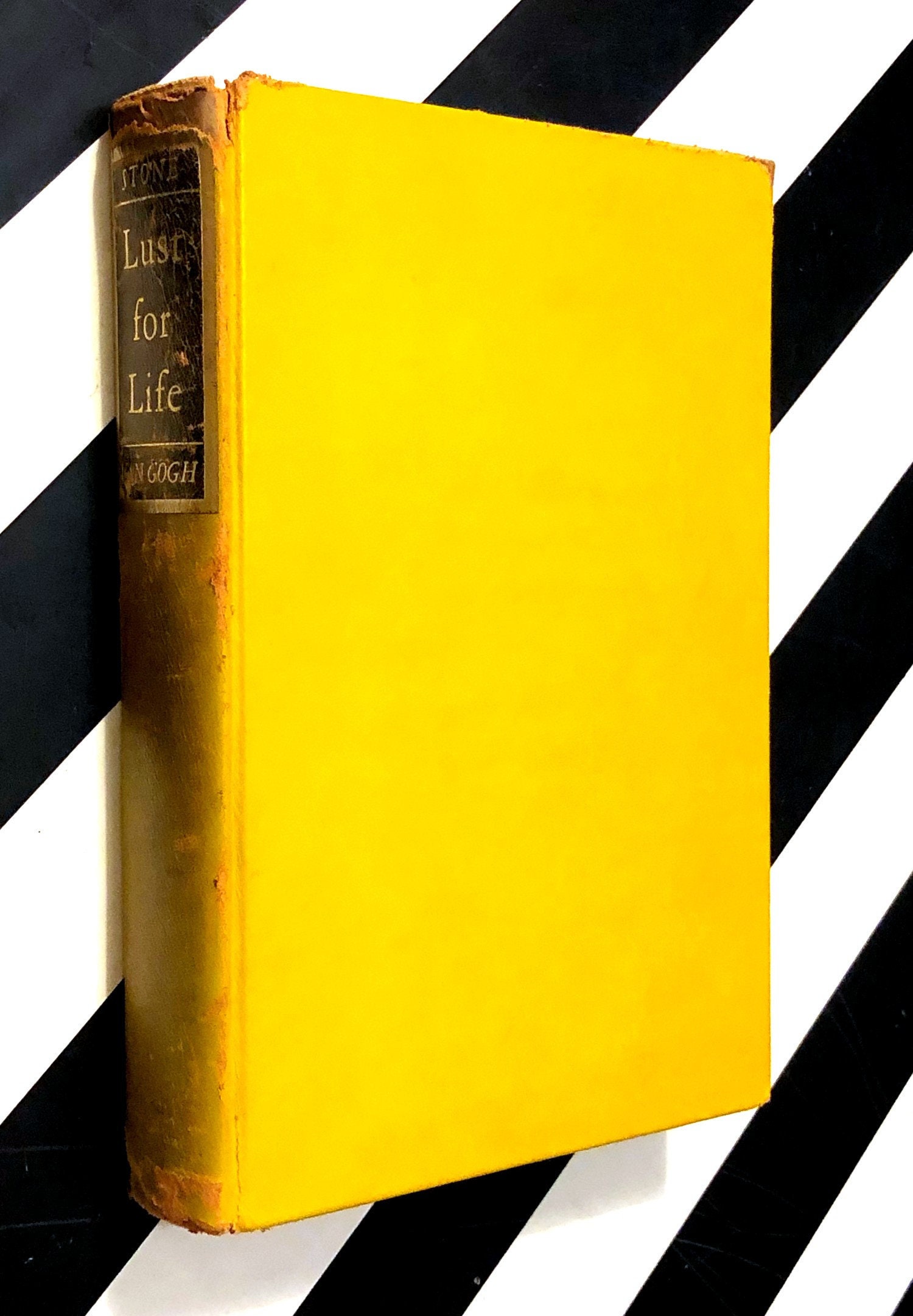 lust for life van gogh book lust for life van gogh book