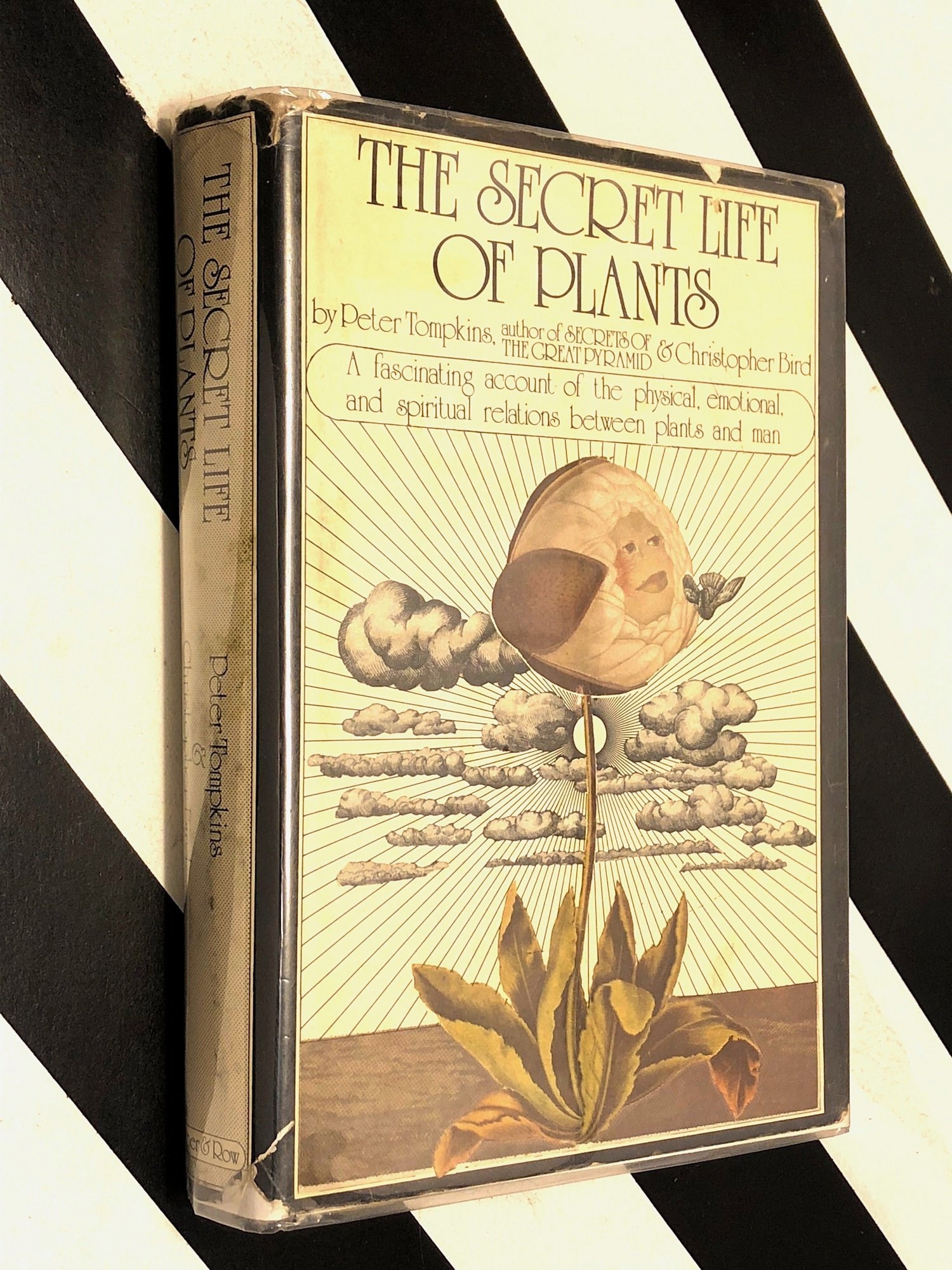 book review the secret life of plants