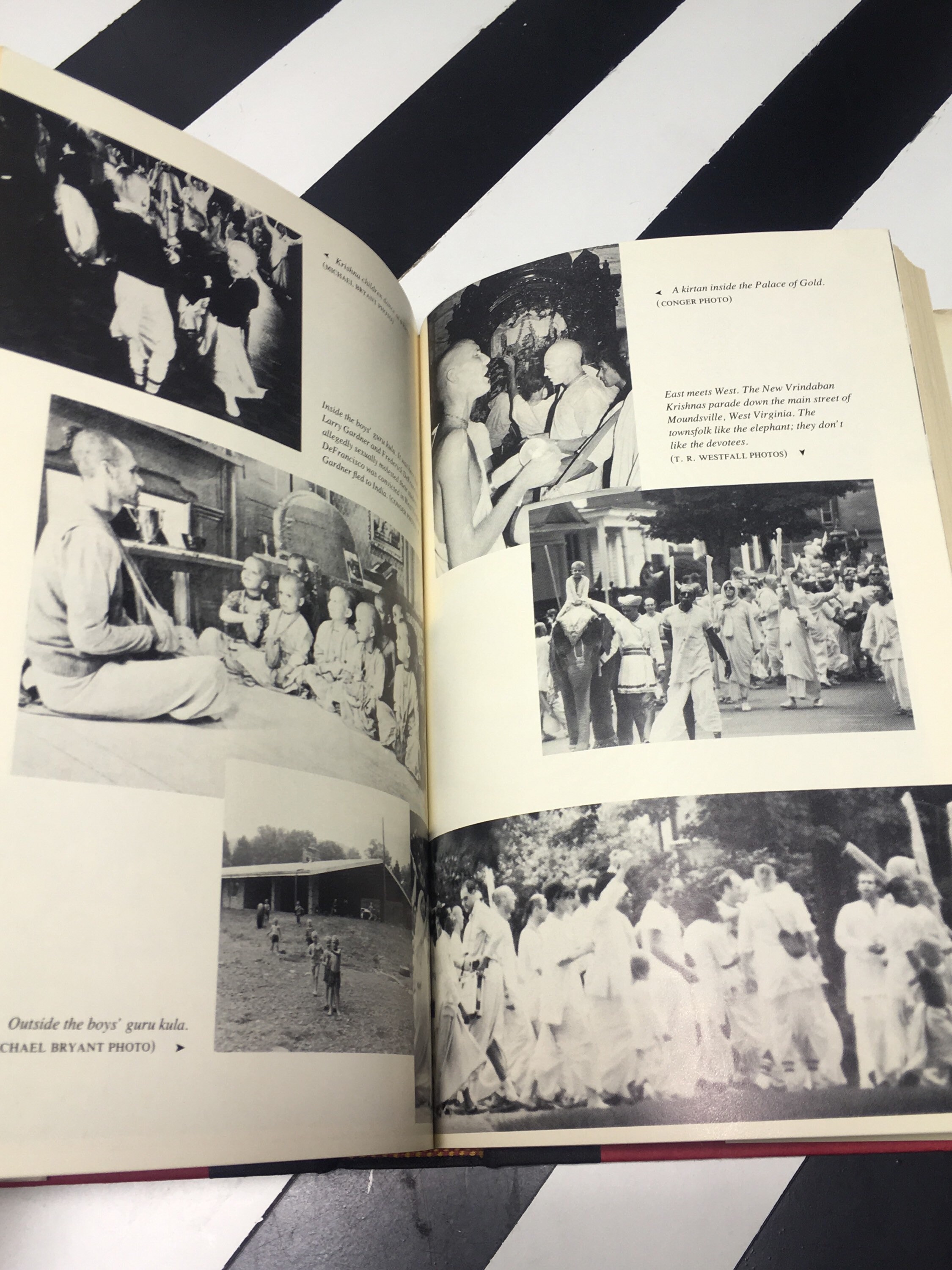 Monkey on a Stick Murder, Madness, and the Hare Krishnas by John