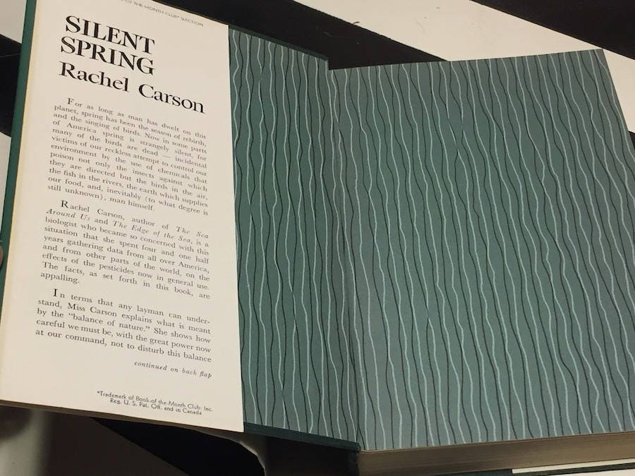 rachel carson rachel carson