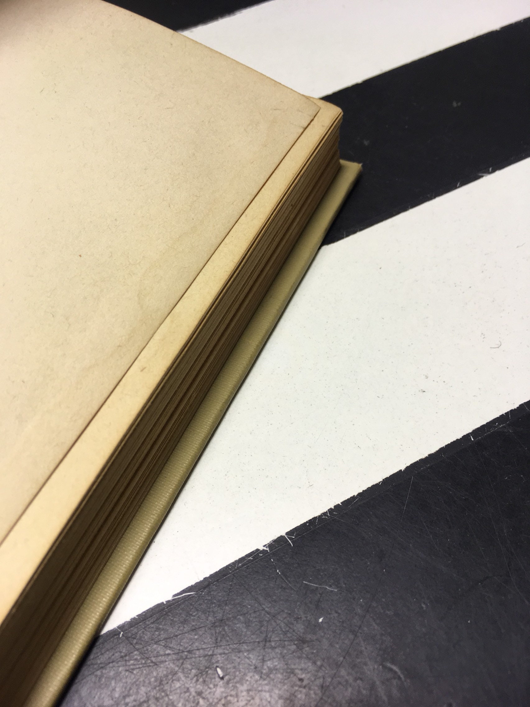 920 O’Farrel Street by Harriet Lane Levy illustrated by Mallette Dean