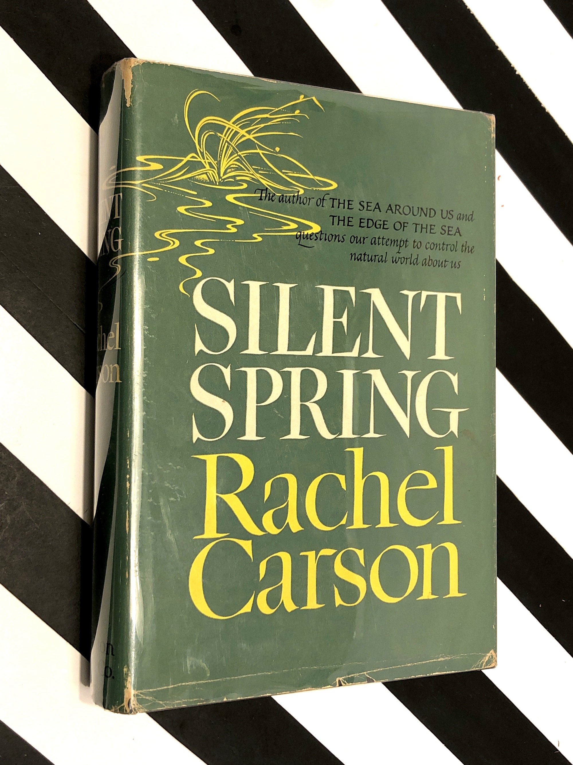 Summary Of Rachel Carsons Silent Spring