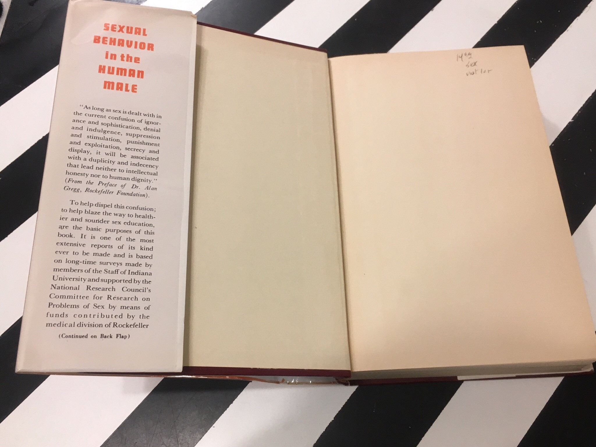洋書 Sexual Visuality from Literature to Film 洋書 Sexual Visuality from Literature to Film 洋書 Sexual