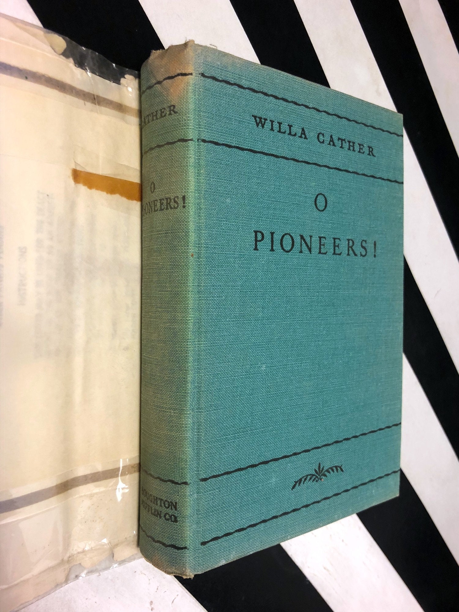 o pioneers book