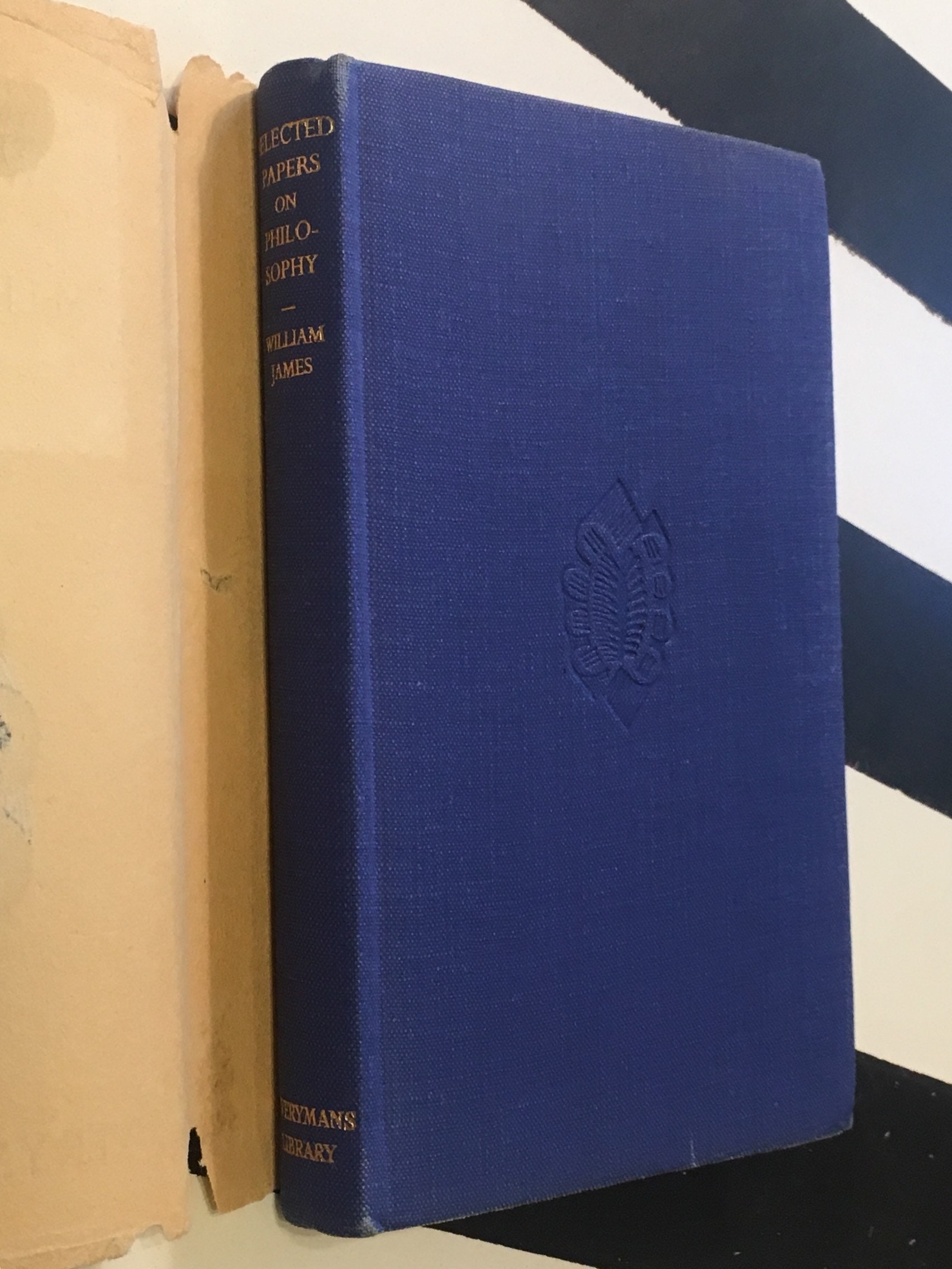 Synthesis essay example image