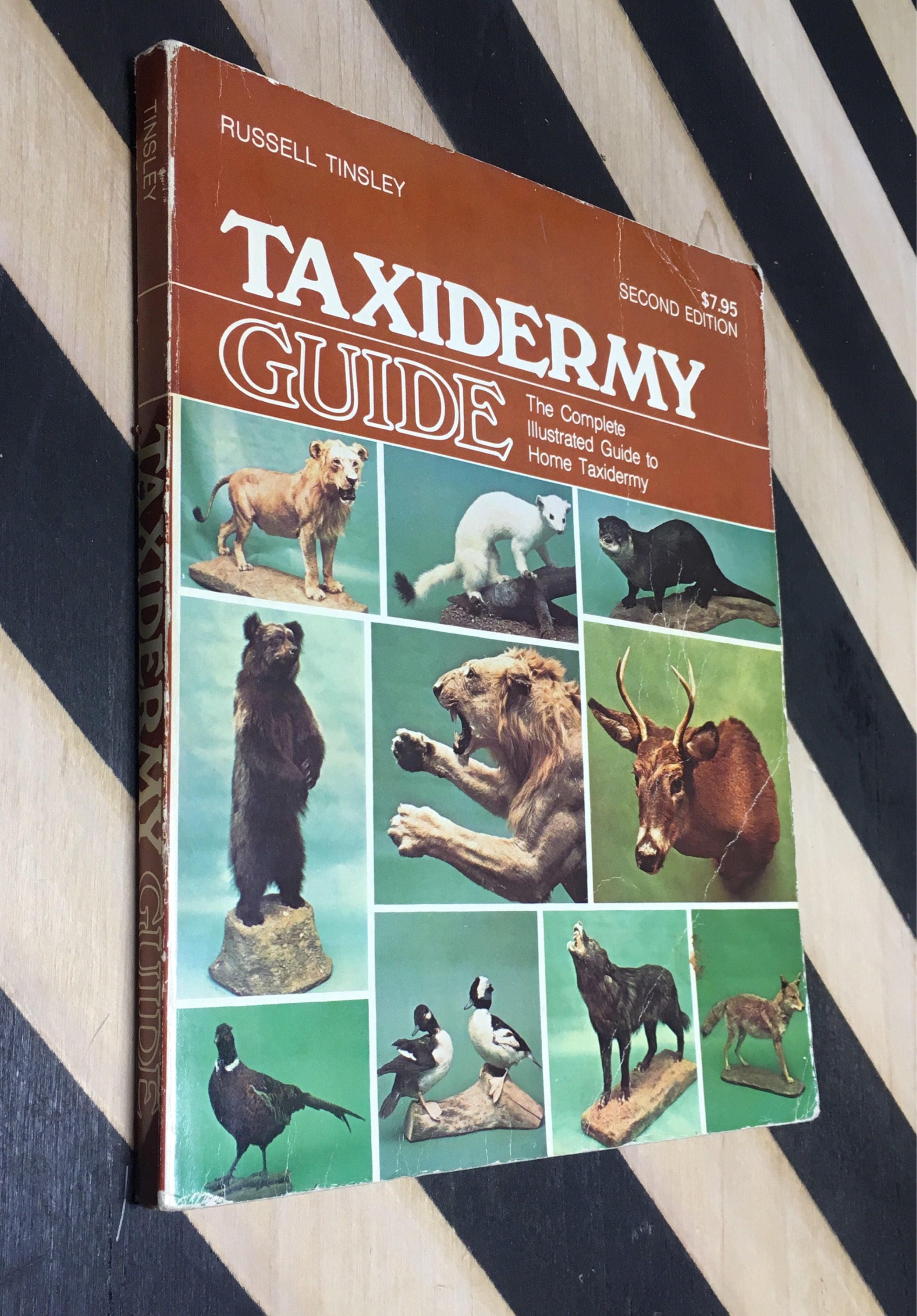 Taxidermy Guide Second Edition by Russell Tinsley (Softcover, 1977