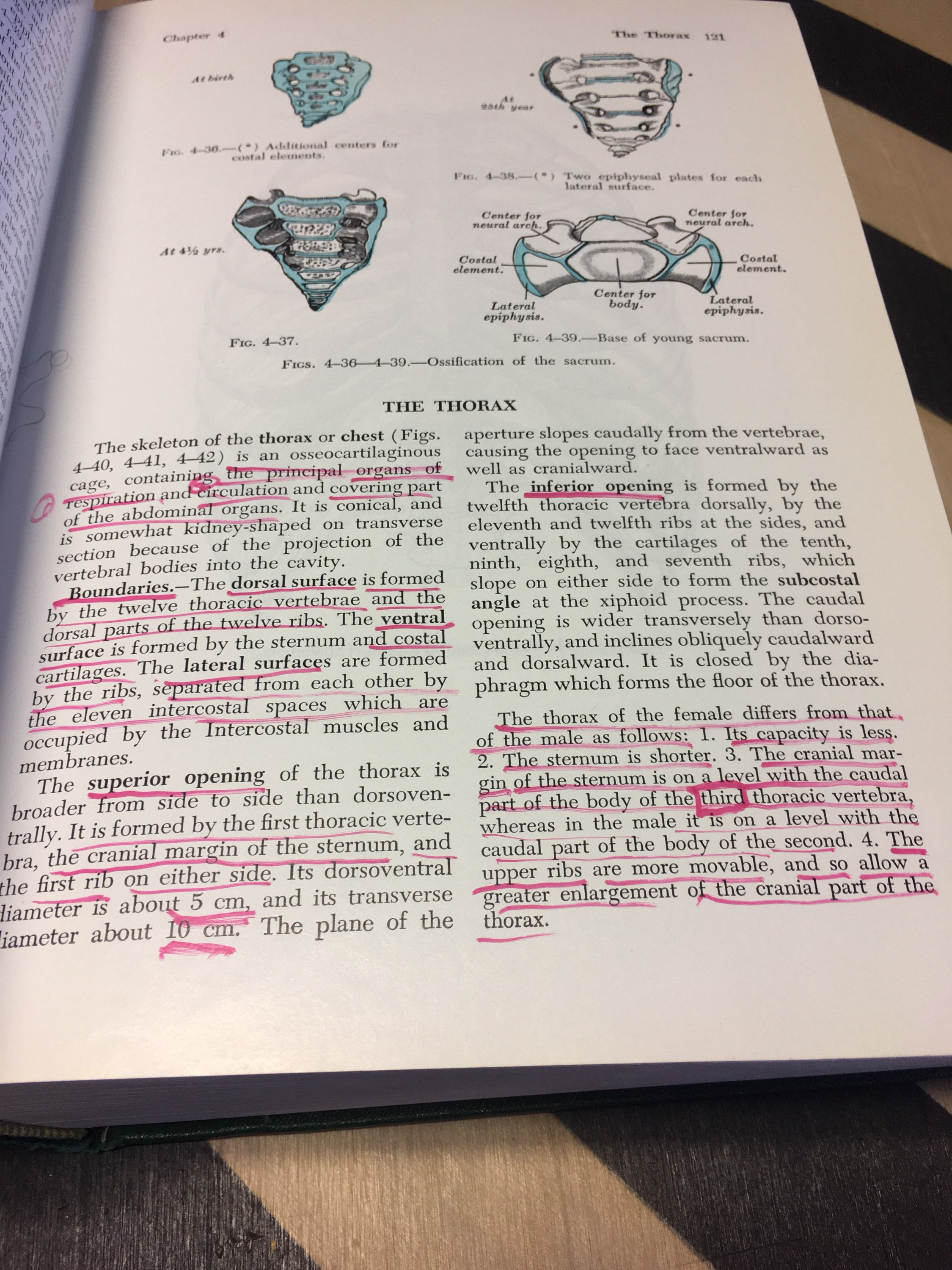 Gray's Anatomy by Henry Gray, F.R.S.; Twenty-Ninth American Edition