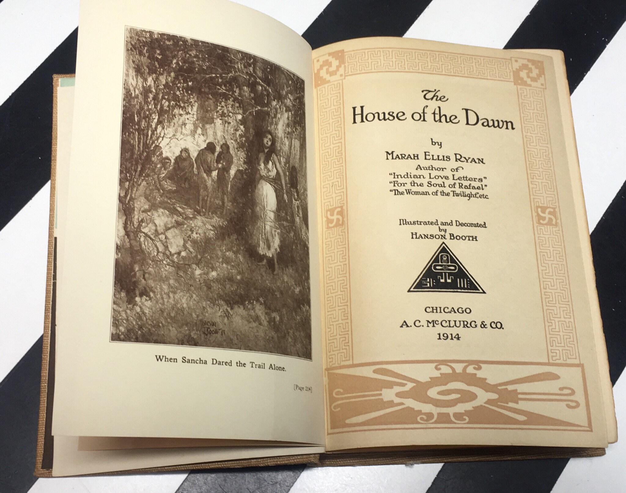 The House of Dawn by Marah Ellis Ryan Illustrated and Decorated by