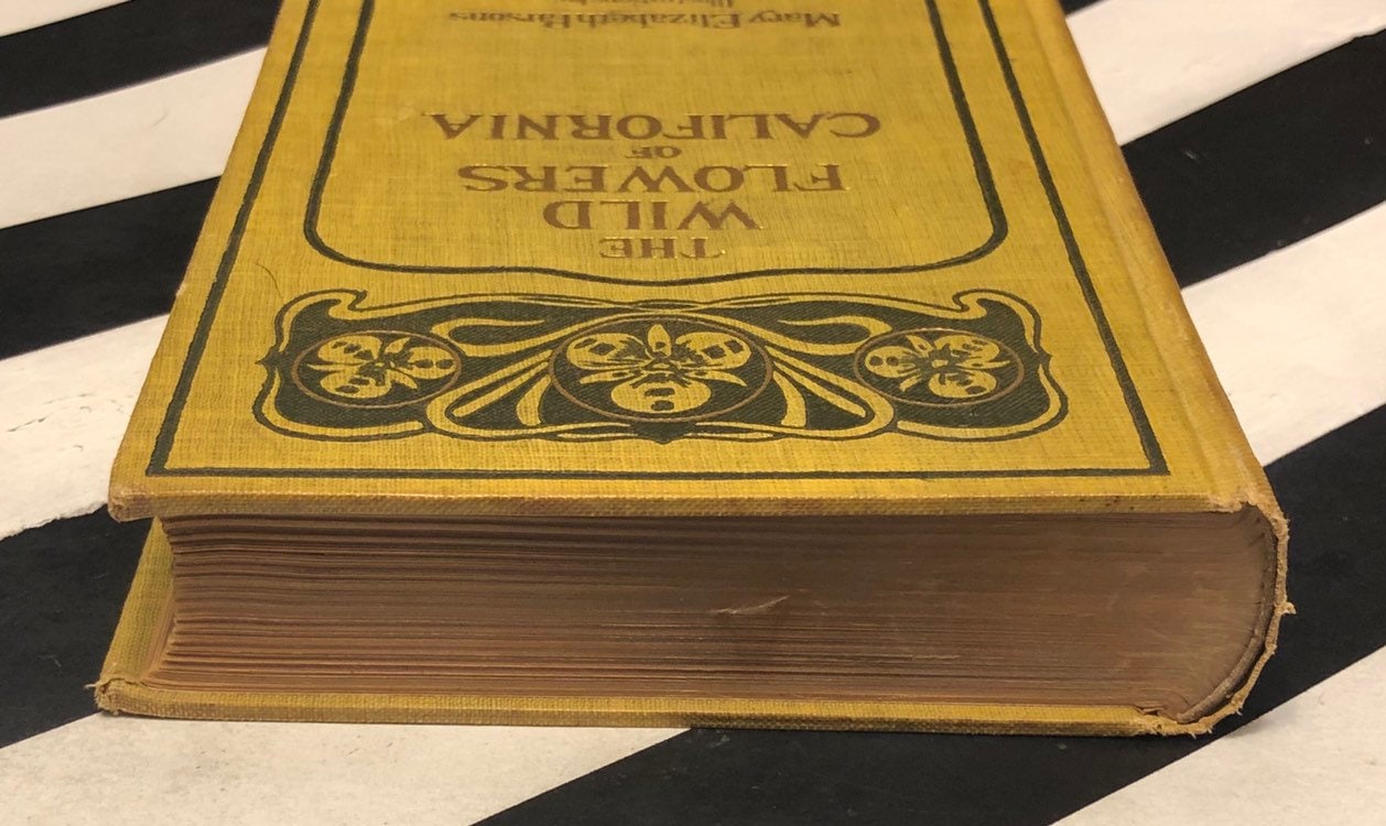 The Wildflowers of California by Mary Parsons and Margaret Buck (1912