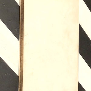 The Apistophilon by Frank Bullard 1899 signed first edition book image 2