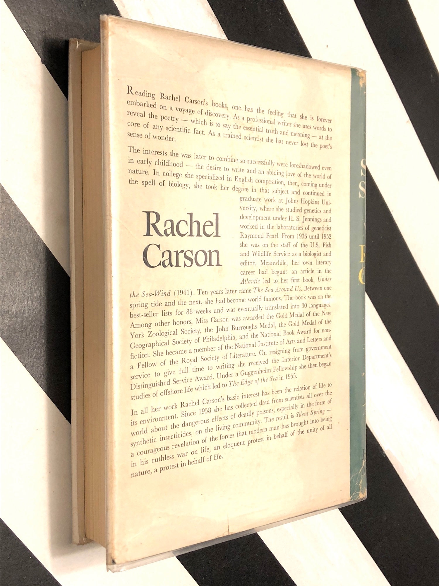 rachel carson rachel carson