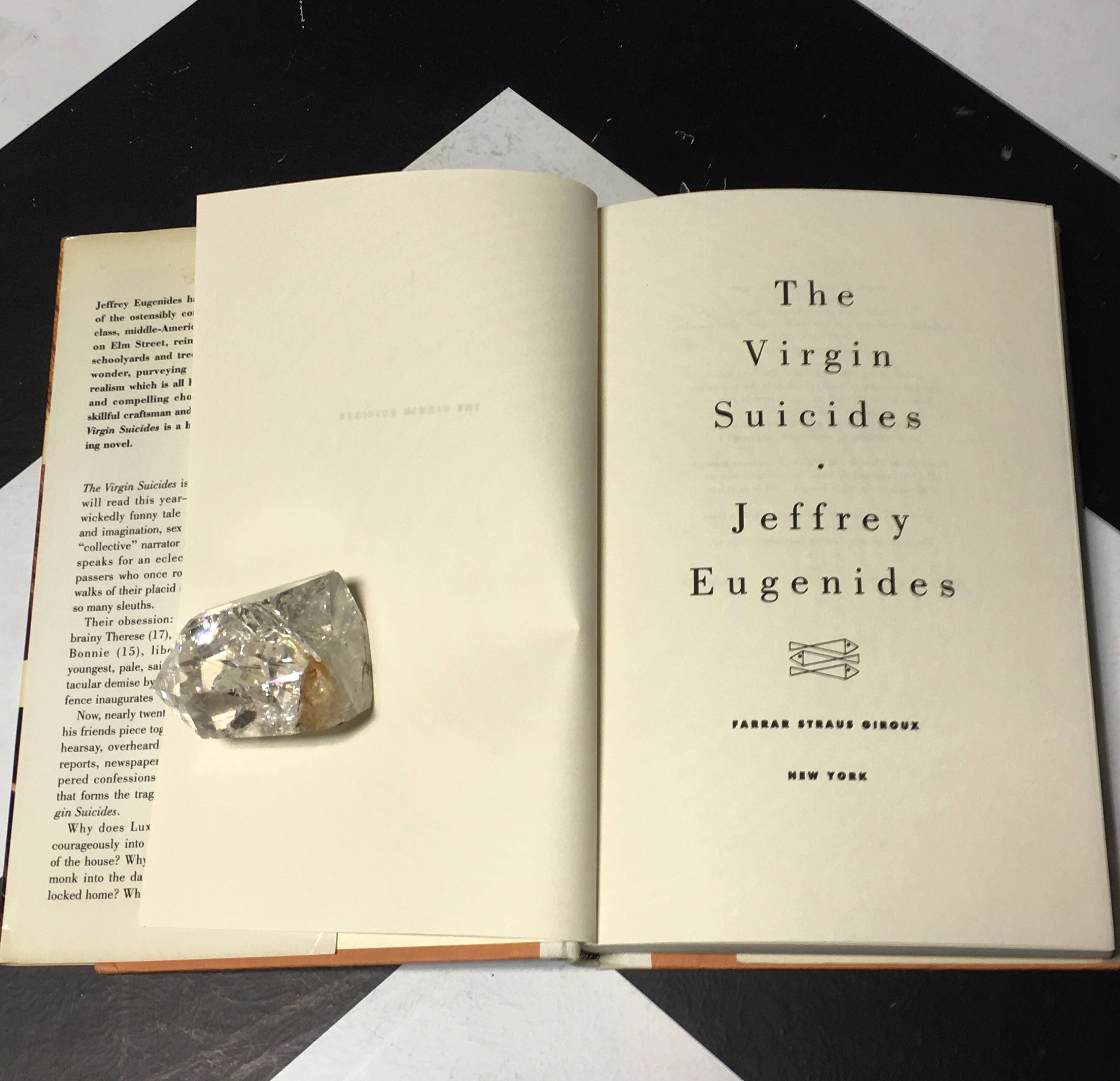 the virgin suicides first edition the virgin suicides first edition