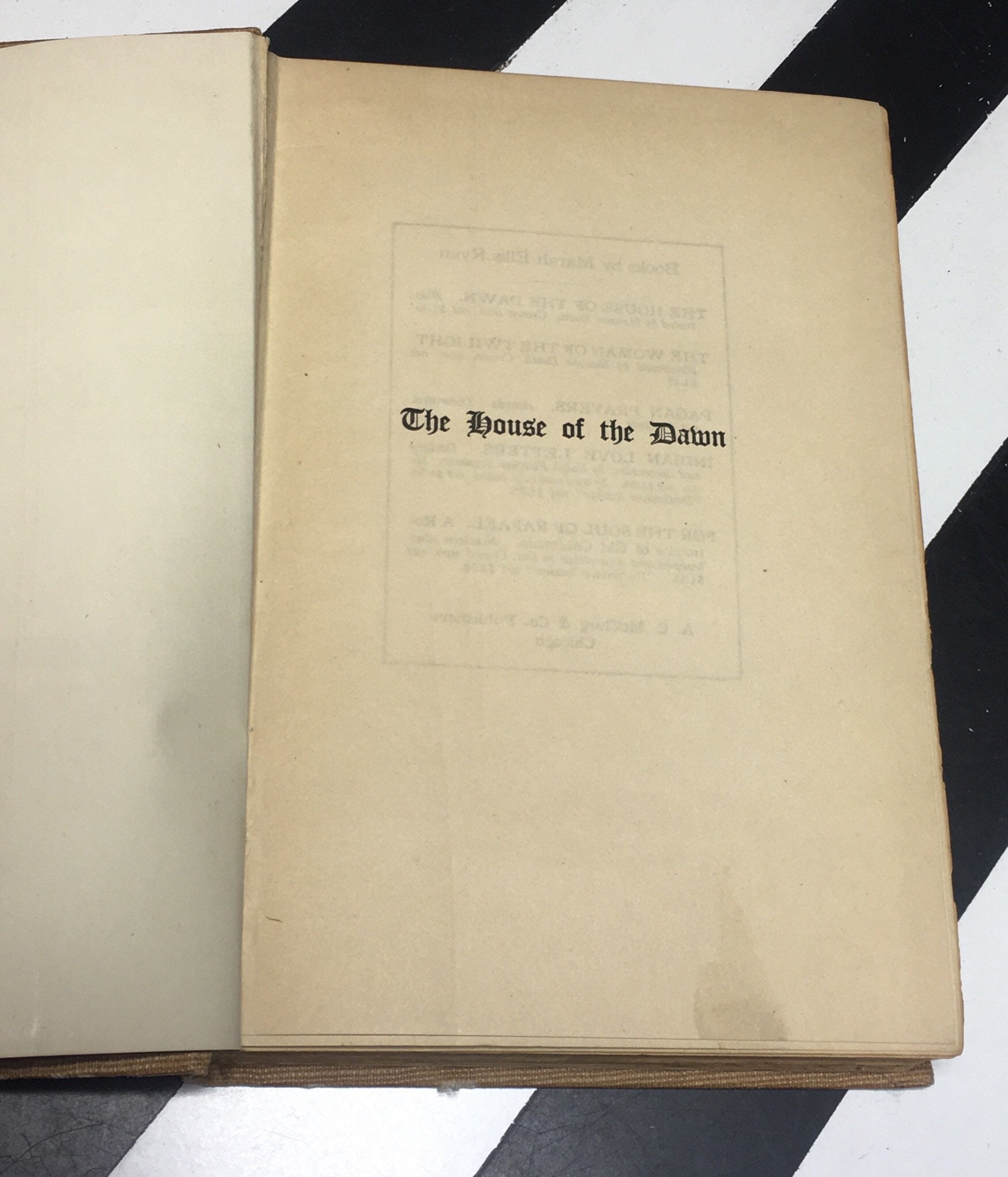 The House of Dawn by Marah Ellis Ryan Illustrated and Decorated by