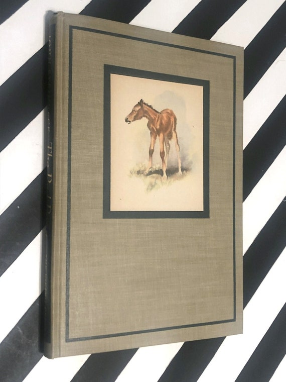 The Red Pony by John Steinbeck (1945) first illustrated edition book