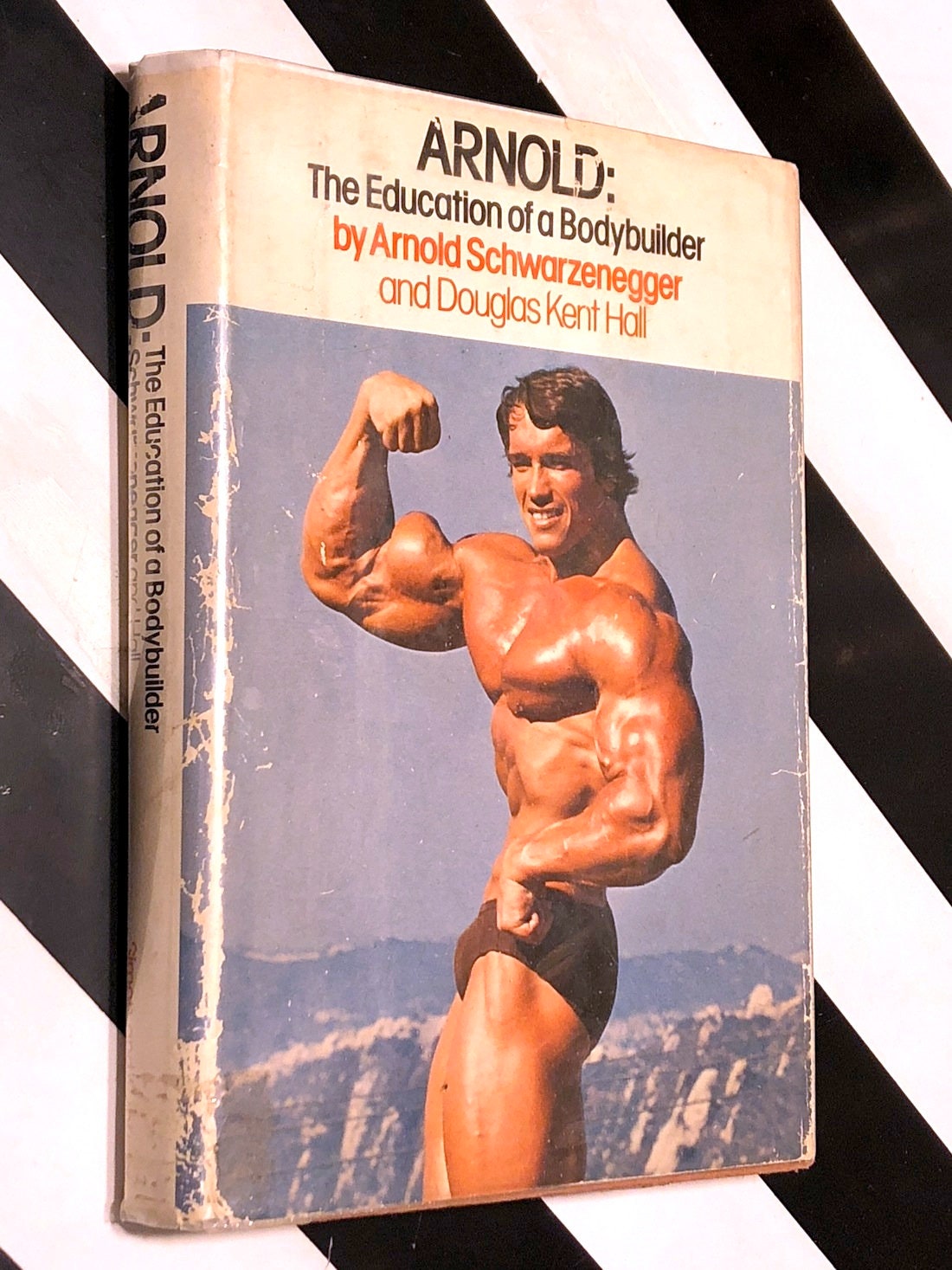 The Education of a Body Builder