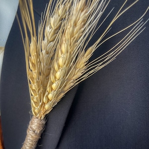 Weizen Boutineer Rustikale Hochzeit Herbst Trockenblumen Umweltfreundliches Dekor Natürlicher getrockneter Weizen Tischdekoration Blumenstrauß Weizen Gras Bundle