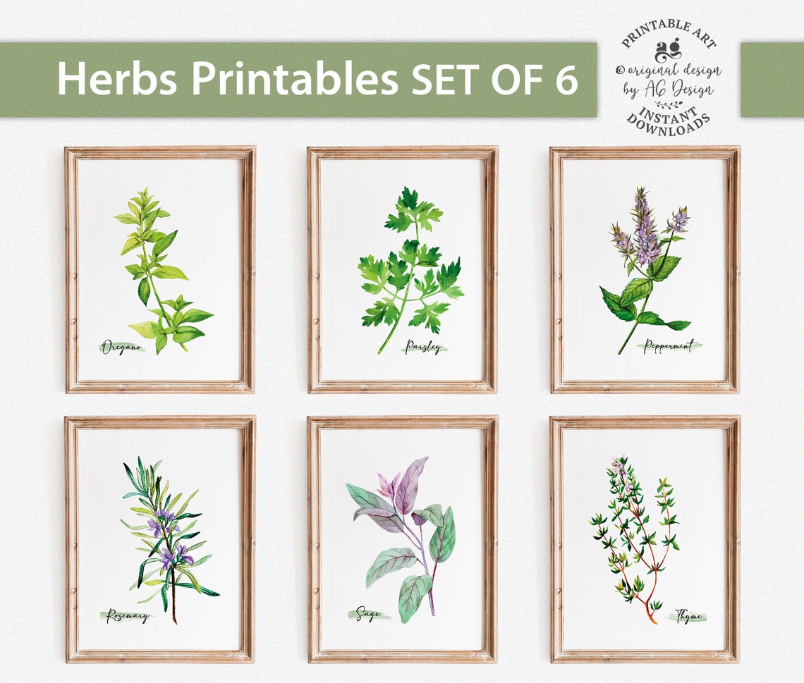 Herbs Kitchen Decor Botanical Print Set of 6 Oregano Parsley | Etsy
