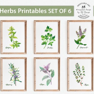 Herbs Kitchen Decor, Botanical Print set of 6, Oregano Parsley Peppermint Rosemary Sage Thyme Herb printables, Watercolor Herb Prints Herbal