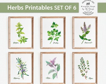 Herbs Kitchen Decor, Botanical Print set of 6, Oregano Parsley Peppermint Rosemary Sage Thyme Herb printables, Watercolor Herb Prints Herbal