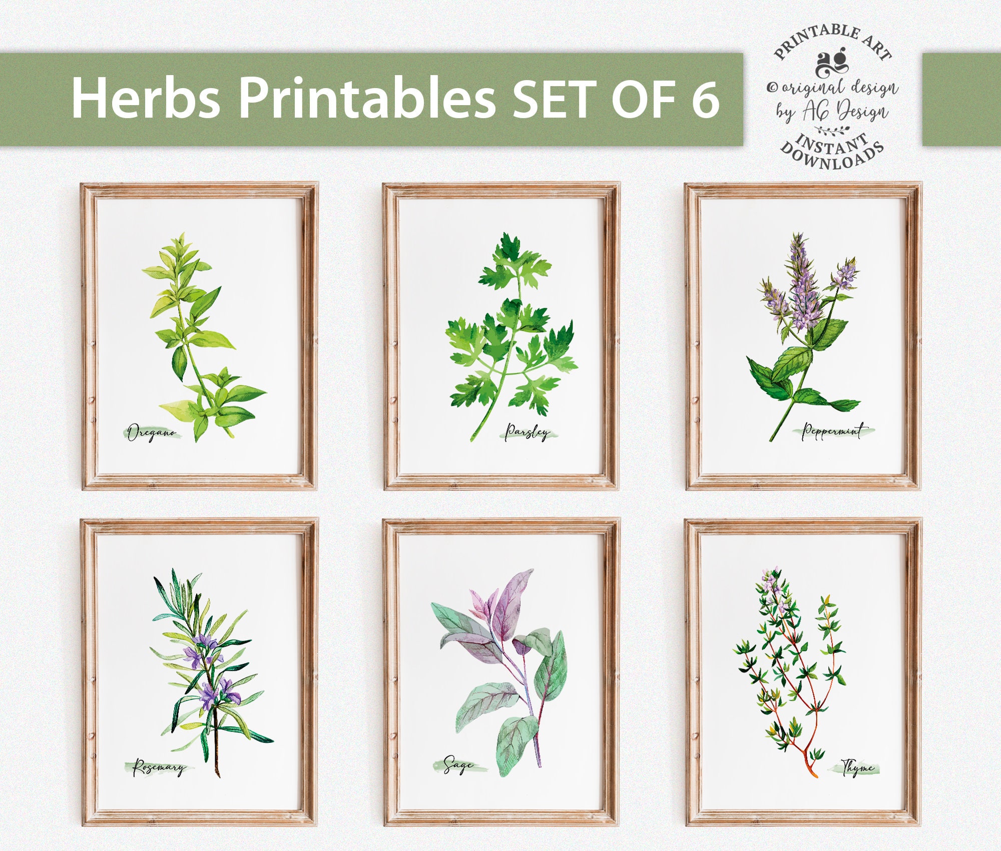 Herbs Kitchen Decor Botanical Print Set of 6 Oregano Parsley - Etsy