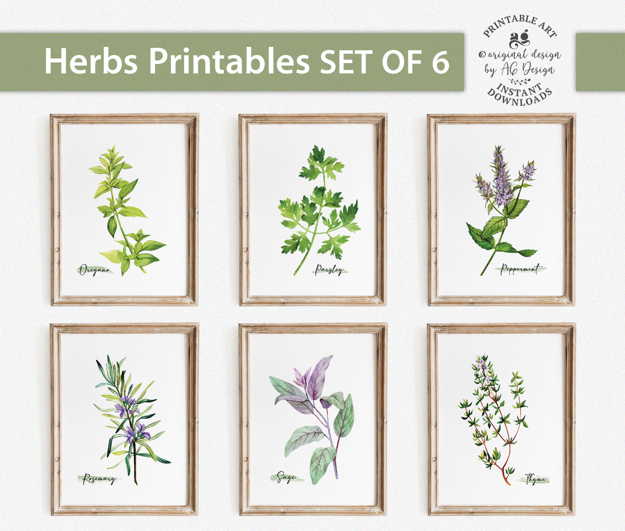 Herbs Kitchen Decor, Botanical Print Set of 6, Oregano Parsley ...