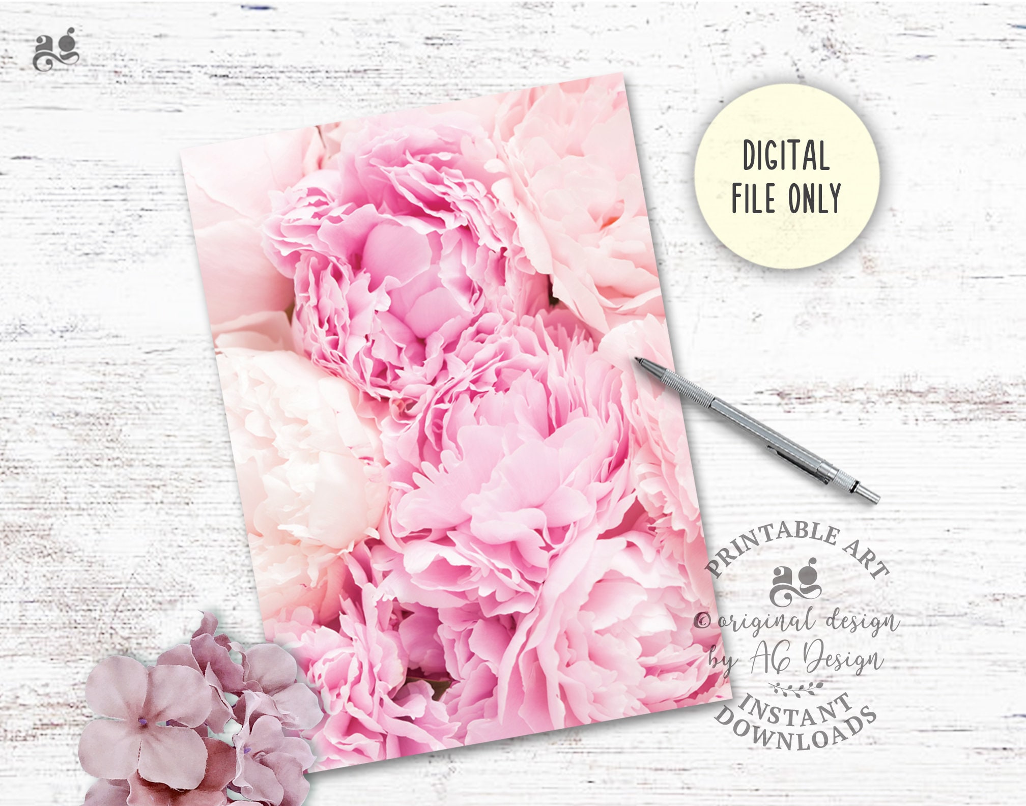 Peony wall art Pink flower printables Botanical prints | Etsy
