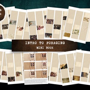 May include: Twelve printable pages for a mini book about foraging. The pages feature a vintage aesthetic with images of mushrooms and nature scenes. The title of the book is "Intro to Foraging Mini Book".