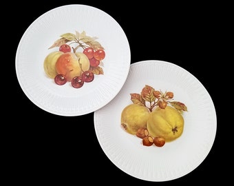 Midcentury Salad/Dessert Plates with Fruit Design - Lot of 2 - Hutschenreuther Elite Plates - Fruit Lover Gift - 1960s Aesthetic