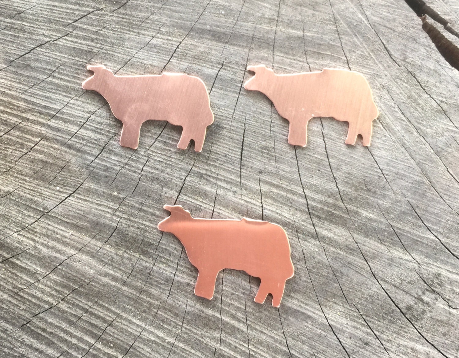 Raw Copper Large Cat Blanks Animal Shapes-jewelry Making-metal Blanks-charms -components-cat Charms-cats-hand Stamped-enameling 