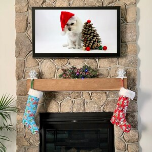 Dog Stocking Christmas Stocking Pet Stocking Personalized