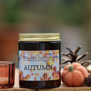 Autumn Candle, Pumpkin Spice gift, Cosy Soy Candle gift, hygge