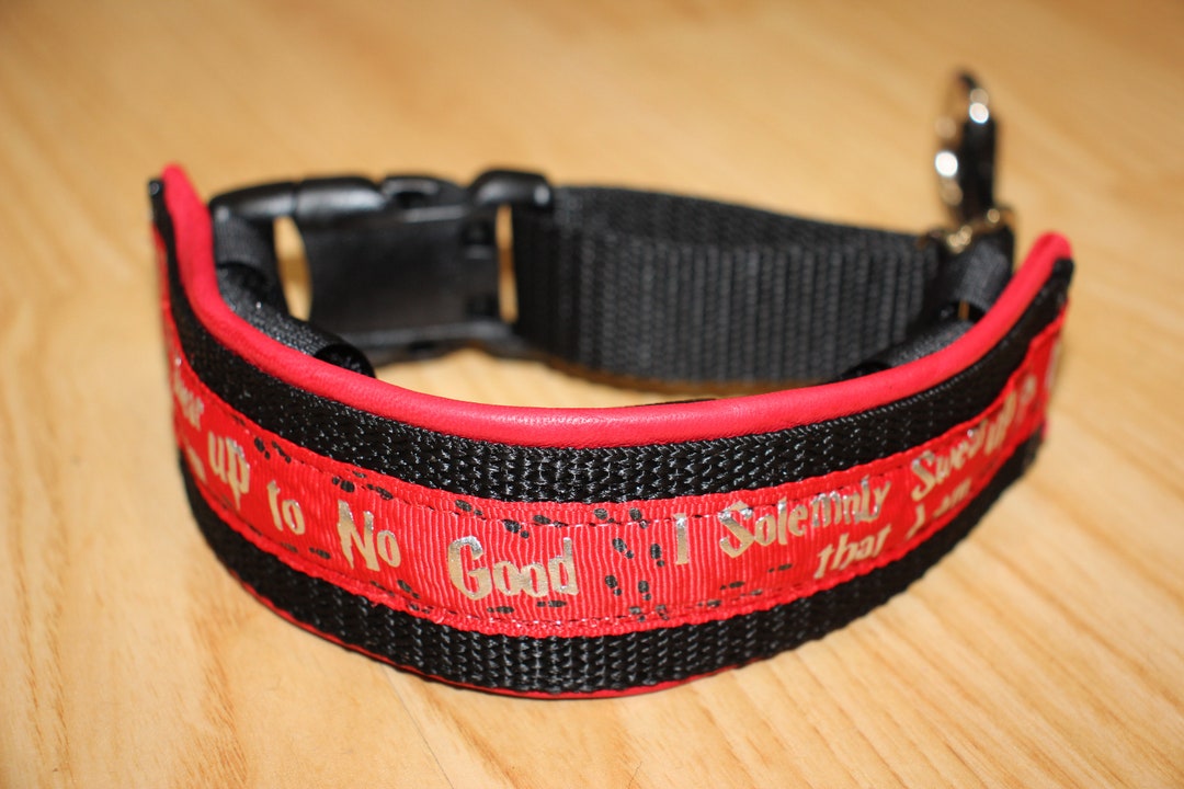 Prong Cover Collar Etsy