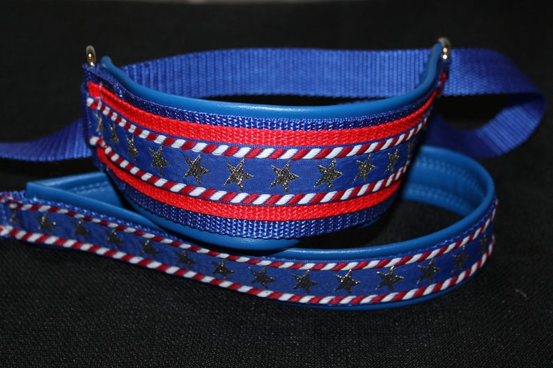 Lure Coursing Slip Lead Etsy