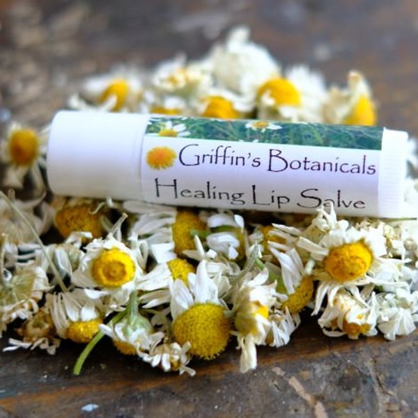 Healing herbal lip salve natural ingredients with cocoa butter and beeswax