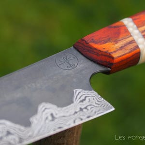Petty 148mm, lame damas et manche en cocobolo