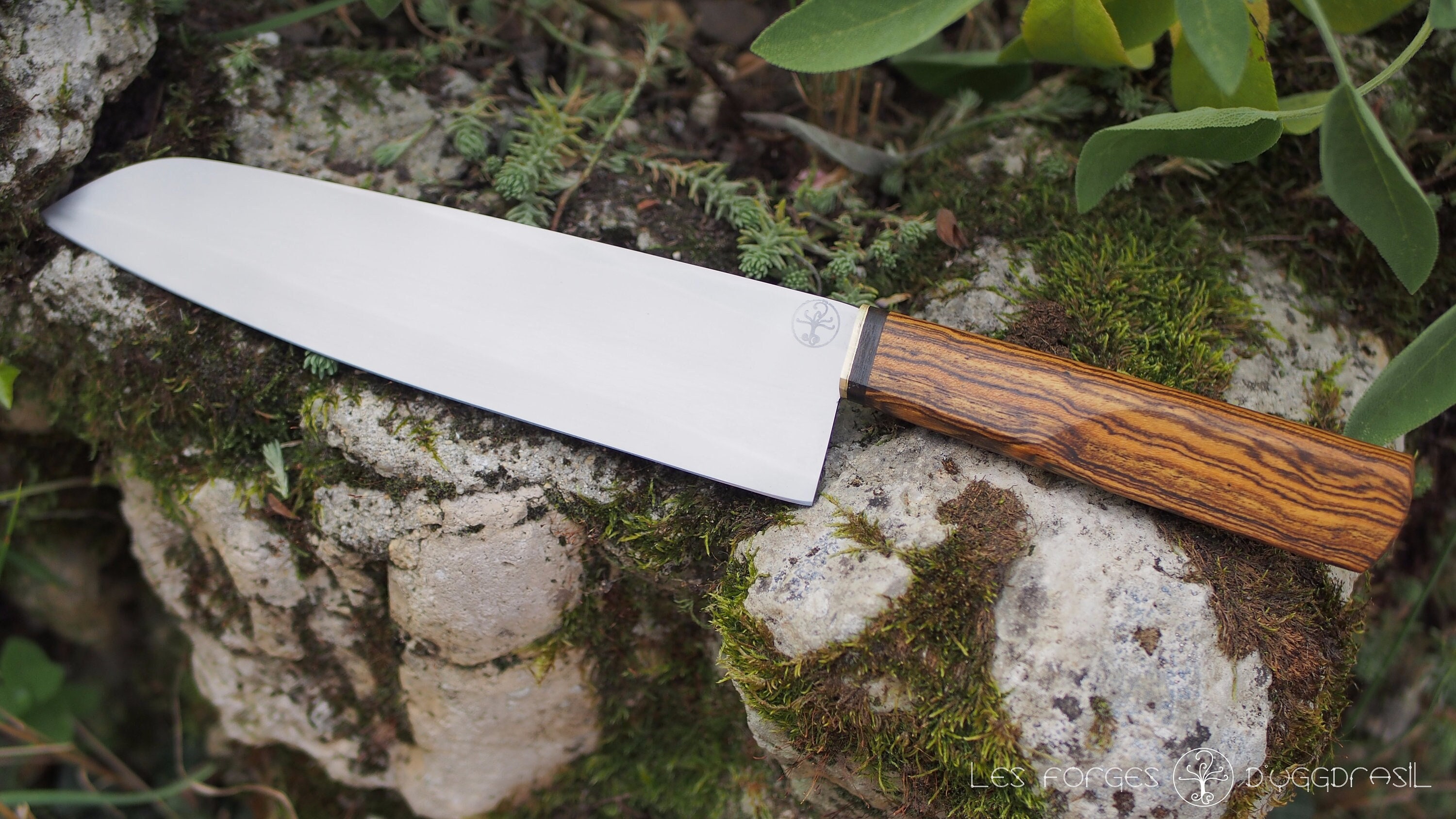 Gyuto 210mm de Lame Inox, Mokume Gane et Bocote Des Montagnes